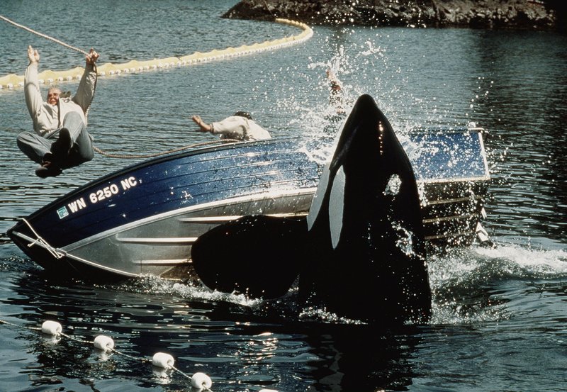 Free Willy II - Freiheit in Gefahr – Bild: BR/​Tele© BR/​Telepool – honorarfrei