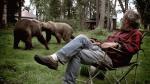 Allein unter Grizzlybären – Super RTL Allein unter Grizzlybären – Super RTL