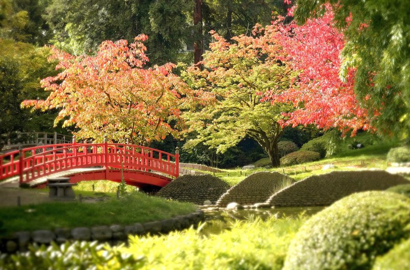Das Naturparadies von Albert Kahn ist von unterschiedlichen Gartenkünsten inspiriert. (Bild: japanischer Garten des Albert-Kahn-Museums) – Bild: arte
