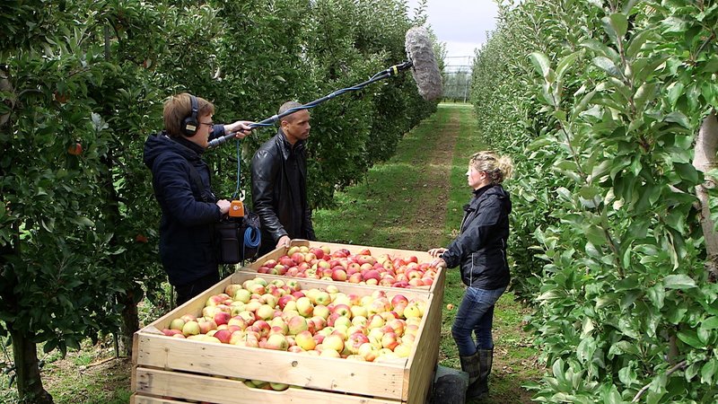 Der wahre Preis für den perfekten Apfel – Bild: ZDF und Thomas Schnitzer