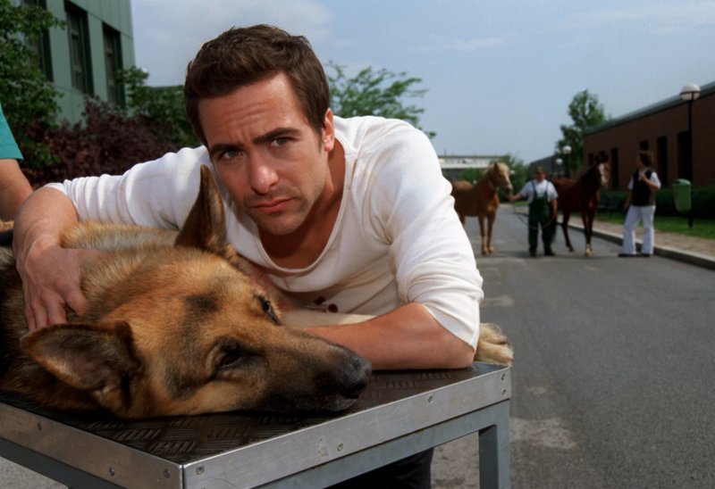 Kommissar Rex (1994) S09E01 Attentat auf Rex fernsehserien.de