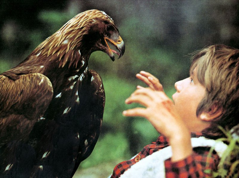 Die blutigen Geier von Alaska – Bild: ARD Degeto