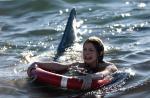 The Bay: Hai-Alarm! – Bild: kabel eins The Bay: Hai-Alarm! – Bild: kabel eins