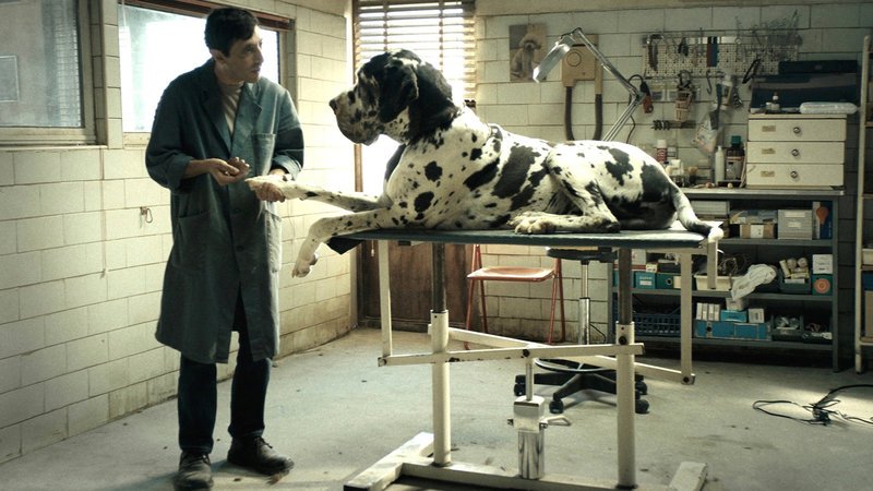 Dogman Marcello Fonte als Marcello SRF/Xenix Film – Bild: SRF1 Dogman Marcello Fonte als Marcello SRF/Xenix Film – Bild: SRF1