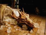 Dragon's World - Unglaubliche Entdeckung im Reich der Drachen – Bild: Sat.1 Dragon's World - Unglaubliche Entdeckung im Reich der Drachen – Bild: Sat.1