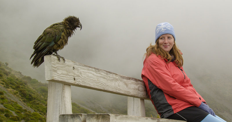 Superhirn im Federkleid – Bild: arte