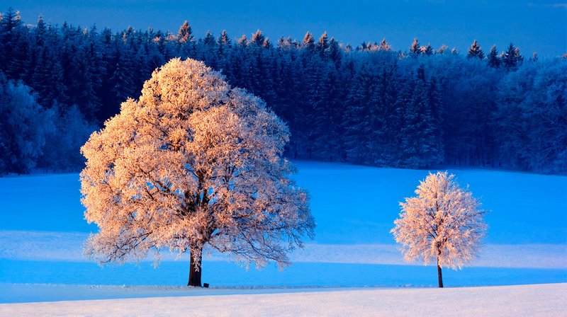 Der Winter verzaubert die Landschaft auf märchenhafte Weise. – Bild: ORF
