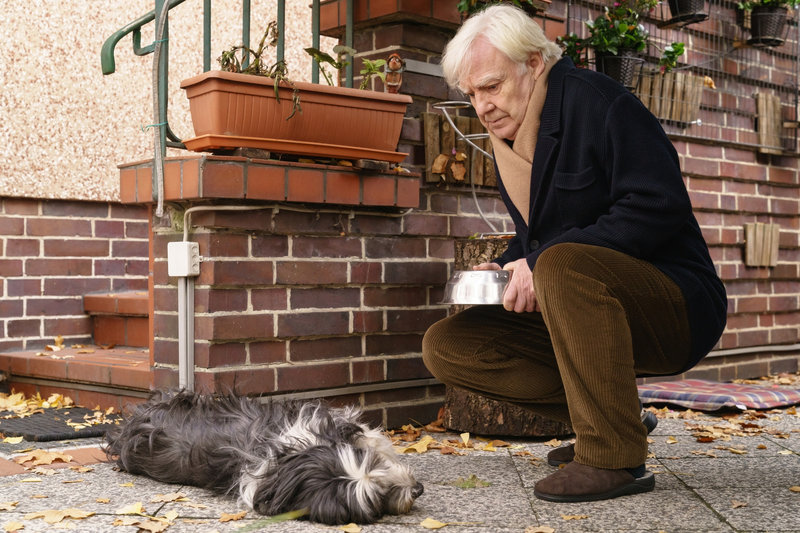 Ein ganz normaler Tag – Bild: Puls 8