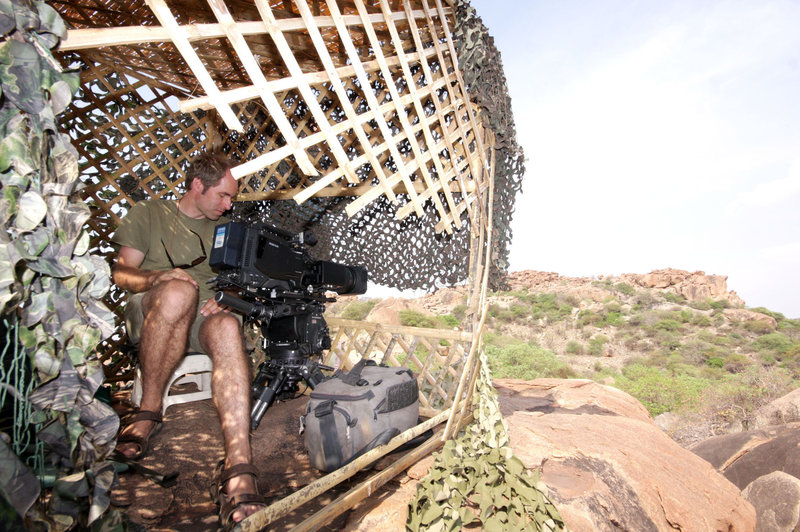 Lippenbären - Abenteuer mit dem wahren Balu – Bild: BR/​NDR/​GULO/​NDR Naturfilm