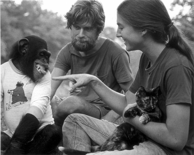 Das Nim-Experiment – Bild: Geo Television