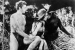Tarzan, der Affenmensch – Bild: WDR Tarzan, der Affenmensch – Bild: WDR