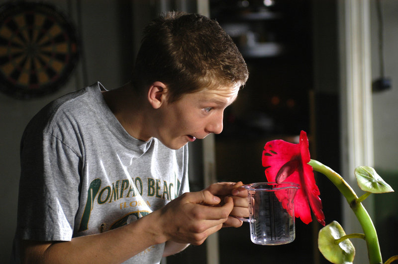 Sex up - ich könnt' schon wieder – Bild: Puls 8