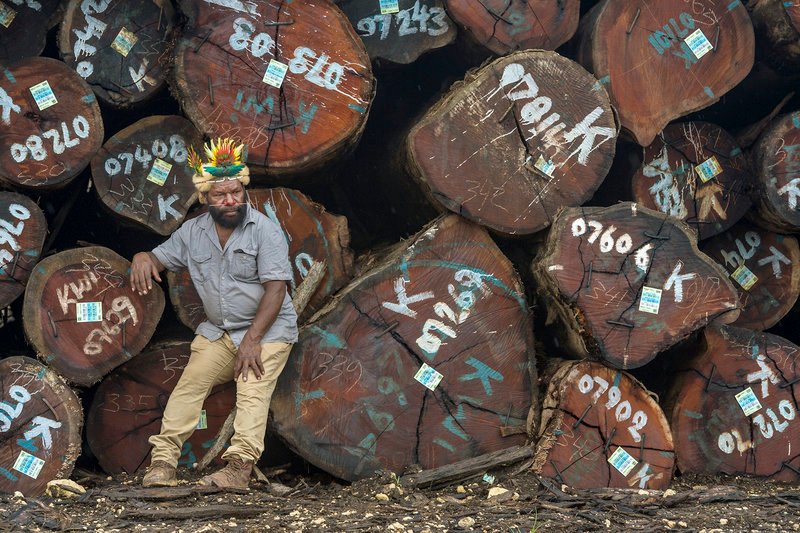 Umweltbotschafter Mundiya Kepanga erinnert daran, dass das Schicksal der Menschen von dem der Bäume abhängt, und fragt so indirekt nach der Zukunft der Menschheit. – Bild: ARTE France /​ © Marc Dozier
