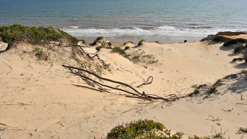 Auf leisen Pfoten - Spaniens letzte Luchse – Bild: Bibel TV