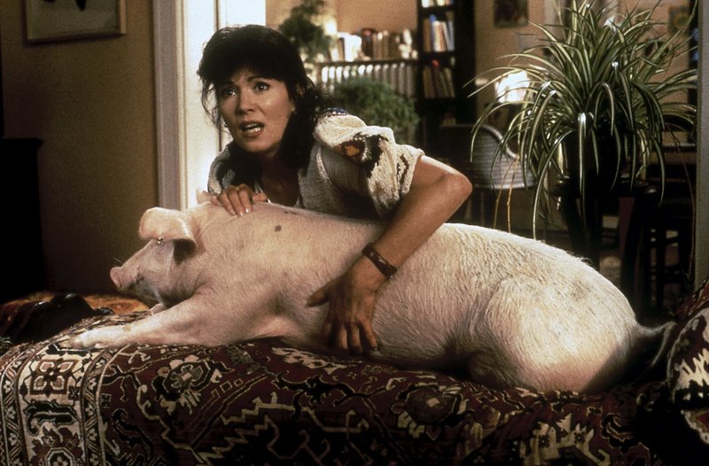 Mutter Almut (Iris Berben) im Schweinestress: „Rudi Rüssel“ wird größer, als es die häuslichen Verhältnisse erlauben. – Bild: ZDF und VOX Mutter Almut (Iris Berben) im Schweinestress: „Rudi Rüssel“ wird größer, als es die häuslichen Verhältnisse erlauben. – Bild: ZDF und VOX
