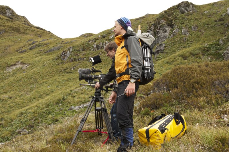 Superhirn im Federkleid – Bild: BR/​Text + Bild Medienproduktion GmbH & Co.KG/​Angelika Sigl