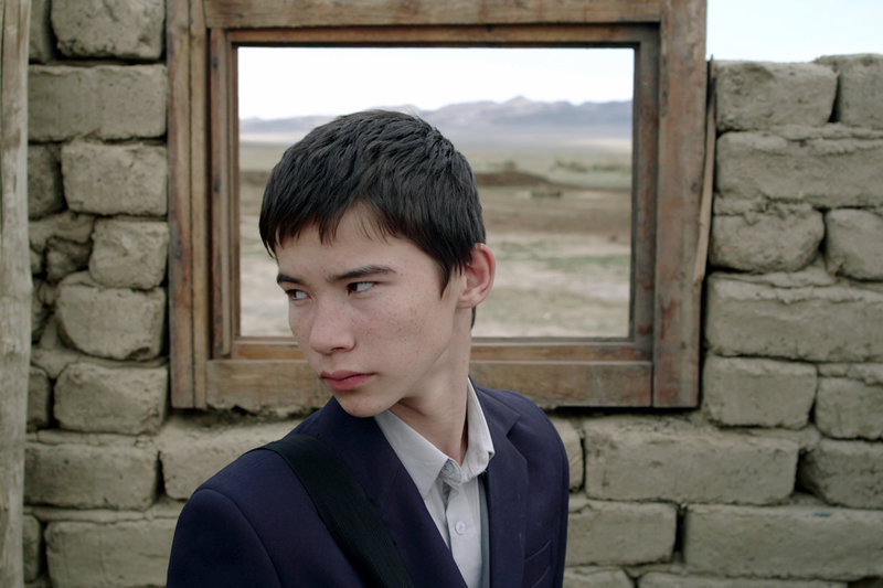 Lehrstunden der Harmonie – Bild: ARTE France /​ © Arizona Films