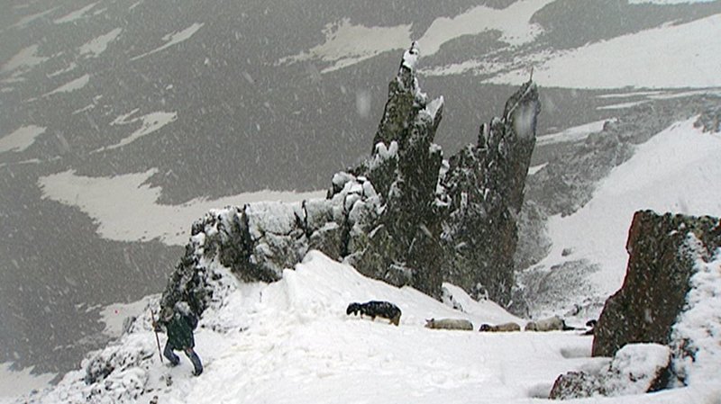 Die Schafe sind jedes Jahr die ersten, die den Klang der Schellen in die stille Bergwelt hinauftragen, hier im Schnalstal. – Bild: BR Die Schafe sind jedes Jahr die ersten, die den Klang der Schellen in die stille Bergwelt hinauftragen, hier im Schnalstal. – Bild: BR