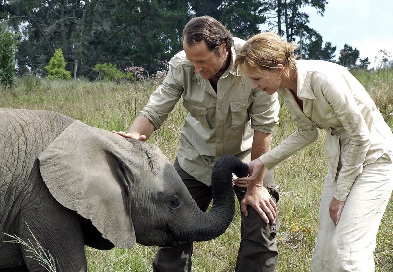 Alex (Markus Knüfken) zeigt Eva (Katja Flint) ein verwaistes Elefantenbaby. – Bild: hr-fernsehen