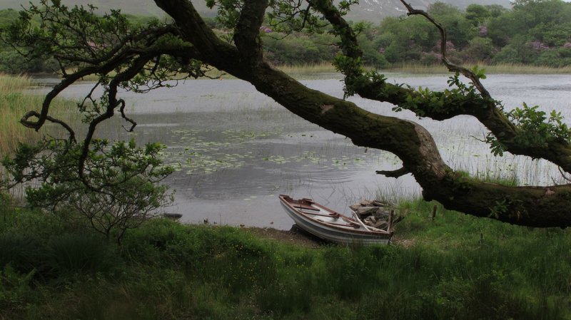 Irland, die Grüne Insel, hat viele außergewöhnliche Naturwunder; eines davon ist allerdings kaum noch entdeckt: der Shannon, Irlands großer Fluss. Hier gibt es jene einsamen Plätze, wo man das Gefühl hat, dass alles noch so ist wie vor tausend Jahren. – Bild: BR/​Crossing the Line