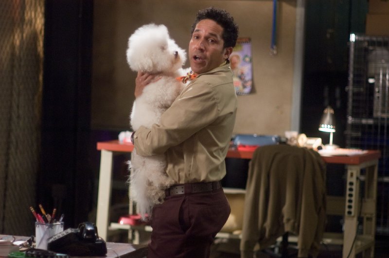 Beethovens großer Durchbruch – Bild: SUPER RTL