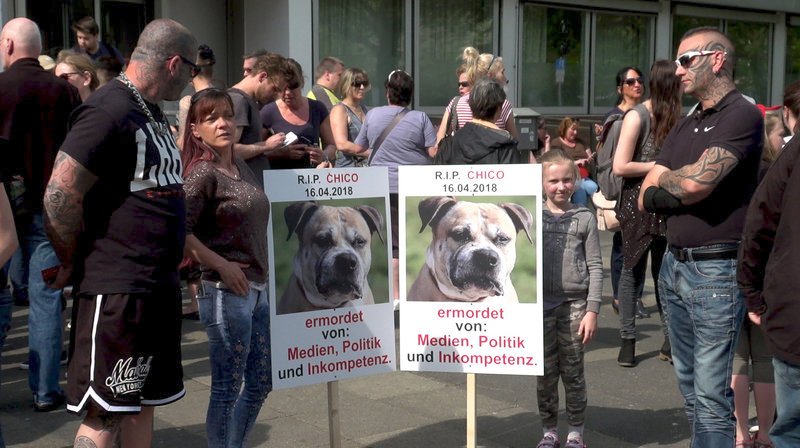 Mahnwache in Hannover für einen Kampfhund, der 2 Menschen totgebissen hat. – Bild: Radio Bremen