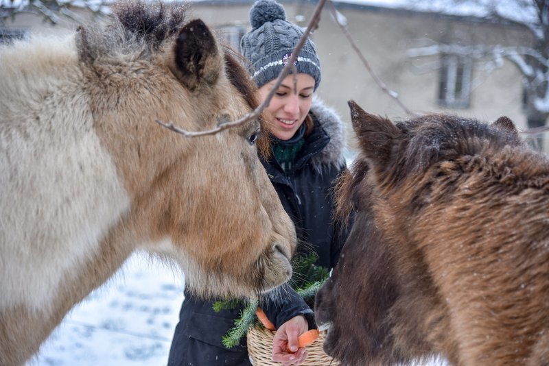 Maria Romana Bruck füttert Pferde in Schloss Eckartsau. – Bild: ORF/​Produktion West/​Gerhard Mader
