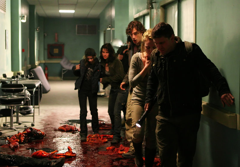 Against the Dark – Bild: 2008 Worldwide SPE Acquisitions Inc. All Rights Reserved. Lizenzbild frei