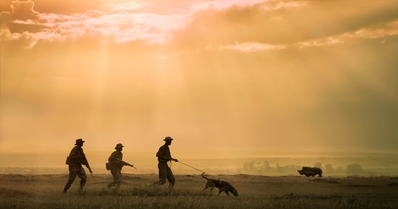 Der erste Freund des Menschen – Bild: ZDF und Jean-Claude Rasle