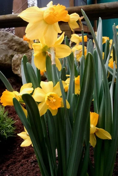 Geheimnisvoller Garten 01 Fruhlingserwachen Fernsehserien De