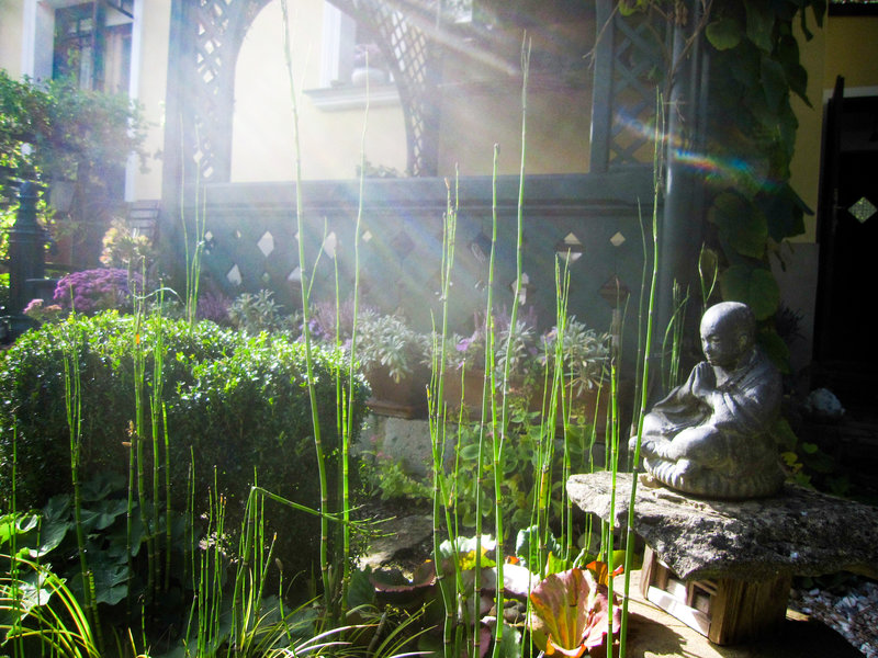 Natur im Garten (2006) S20E20: Ein Paradies in der Vorstadt