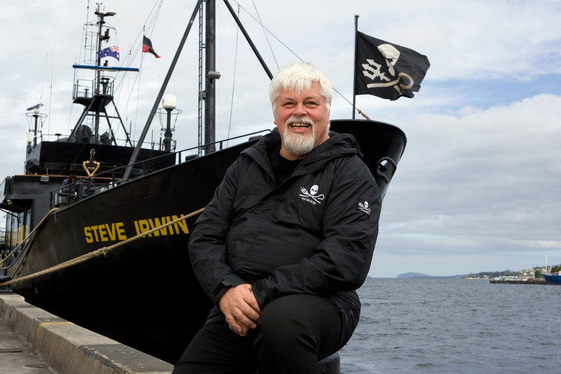 Whale Wars Staffel 4 Deutsch