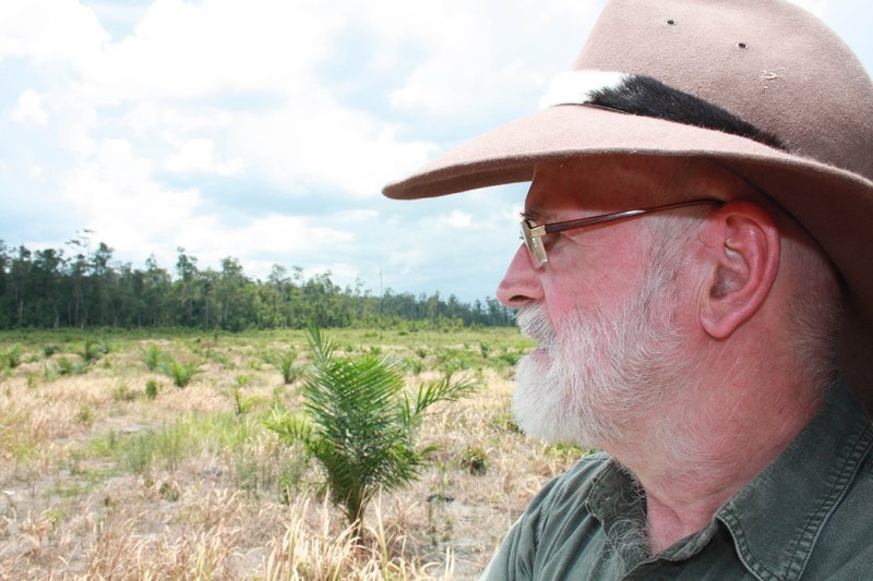 Terry Pratchett besucht nach 18 Jahren erneut die Orang-Utans auf Borneo. – Bild: Geo Television