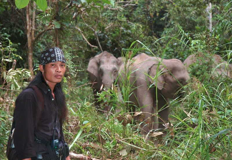 Bert Dausip verbringt Monate in der Nähe der Zwergelefanten. Sie danken es ihm mit Vertrauen – Grundstein für die wissenschaftliche Arbeit des sympathischen Rangers. – Bild: HR/​NDR/​Michael Wong/​Off the Fence