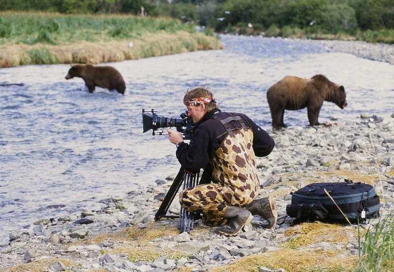 Bären hautnah. Andreas Kieling kennt die Grizzlys seit vielen Jahren. Viele von ihnen erkennen ihn immer wieder und dulden den Tierfilmer in ihrer Nähe. – Bild: PHOENIX/NDR/Viking Film Bären hautnah. Andreas Kieling kennt die Grizzlys seit vielen Jahren. Viele von ihnen erkennen ihn immer wieder und dulden den Tierfilmer in ihrer Nähe. – Bild: PHOENIX/NDR/Viking Film
