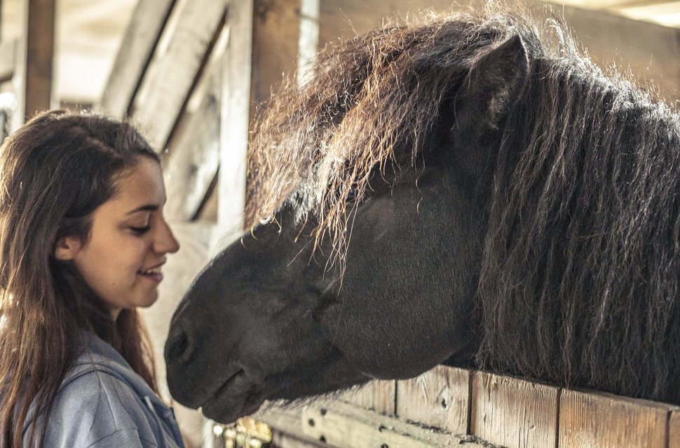 Zwischen Aylin (Almila Bagriacik) und Hördur entstehet einen tiefe Verbindung. – Bild: BR / MDR / Stormy Donkey Productions / Sebastian Wunderlich / Sebastian Wunderlich
