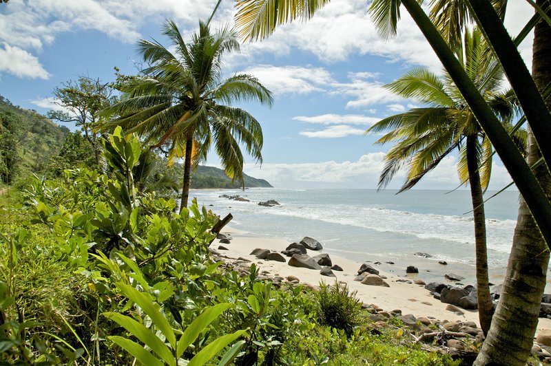 Palm Beach (Madagaskar). – Bild: ZDF und ORF/​BBC/​Alastair MacEwen