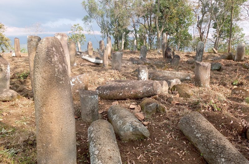 Mehrere Tausend phallische Stelen sind über ein weites Gebiet im Süden Äthiopiens verstreut. – Bild: ARTE F /​ © Alain Tixier