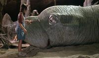 Geliebtes Monster – Bild: RTL II Geliebtes Monster – Bild: RTL II