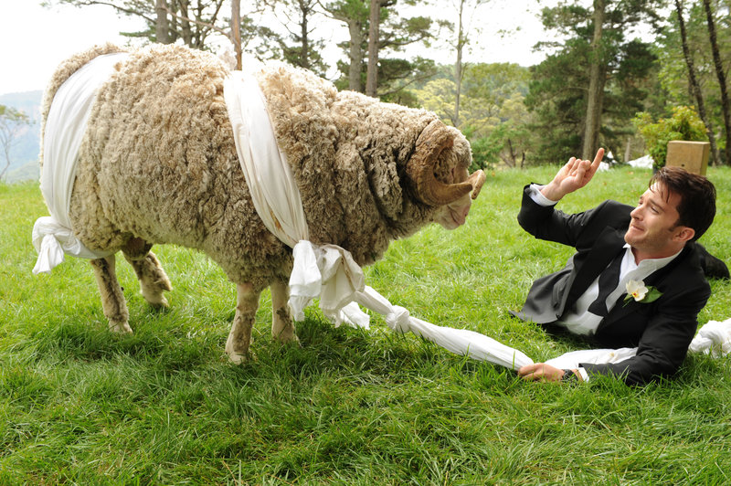 Die Trauzeugen – Bild: ProSieben Fun
