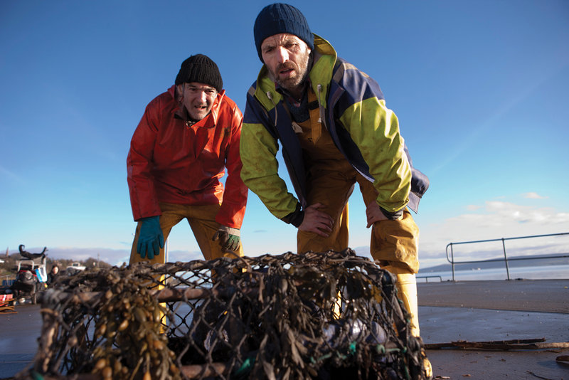 Grabbers – Bild: Elite Film