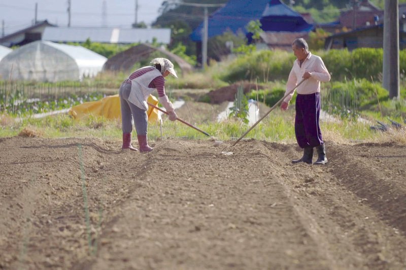Diese japanischen Bauern wollen ihre Felder in der Nähe von Fukushima nicht verlassen. – Bild: ARTE France 