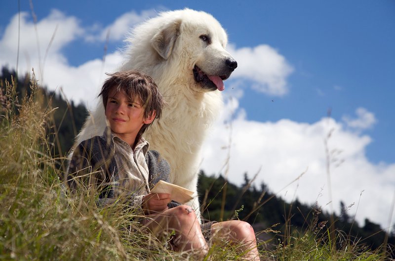Während seines Abenteuers kommt der Waisenjunge Sebastian (Félix Bossuet) einem großen Geheimnis auf die Spur. – Bild: WDR/Neue Visionen Filmverleih Während seines Abenteuers kommt der Waisenjunge Sebastian (Félix Bossuet) einem großen Geheimnis auf die Spur. – Bild: WDR/Neue Visionen Filmverleih
