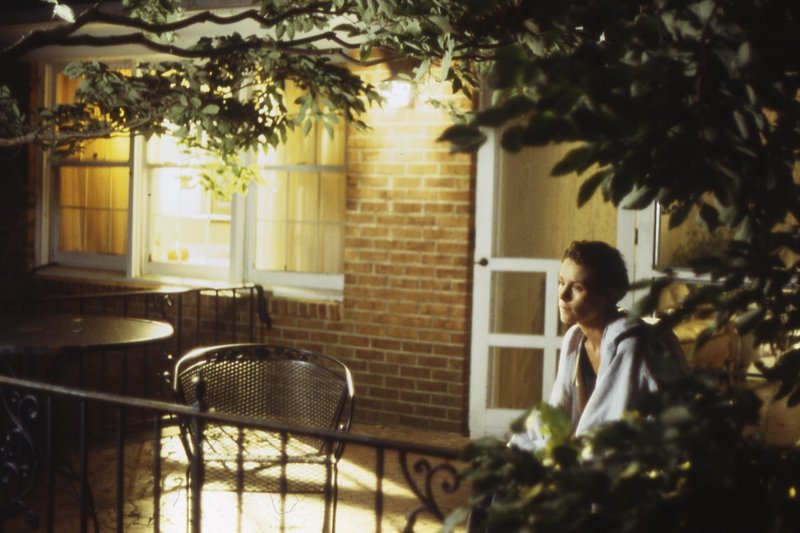 Junikäfer – Bild: Arsenal Filmverleih