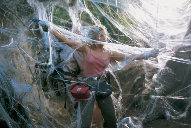 Arachnid – Bild: 3 L