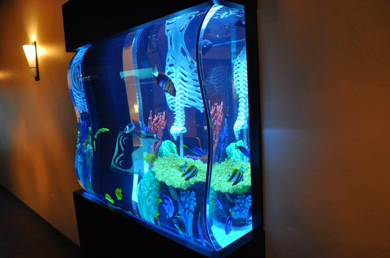 dmax aquarium profis dmax aquarium profis