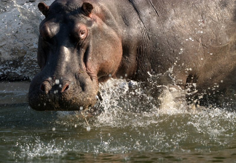 Der Rauch, der donnert - Die Victoriafälle – Bild: HR/​BR/​Udo Zimmermann