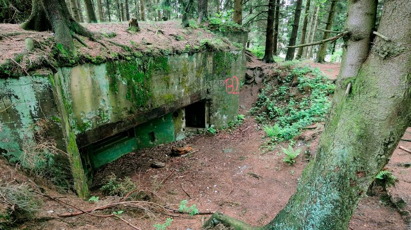 Deutscher Bunker im Hürtgenwald – Bild: WDR/​Alamy/​mauritius images /​ WDR Kommunikation/​Redaktion Bild