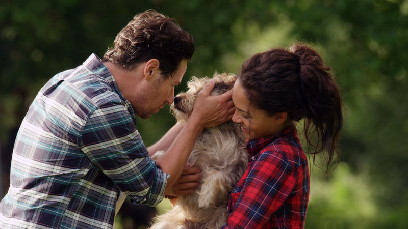 Night of the Wild - Die Nacht der Bestien – Bild: RRS