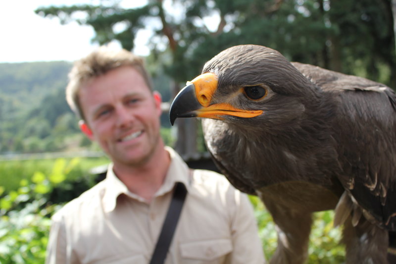 Der Falkenmann – Bild: Planet